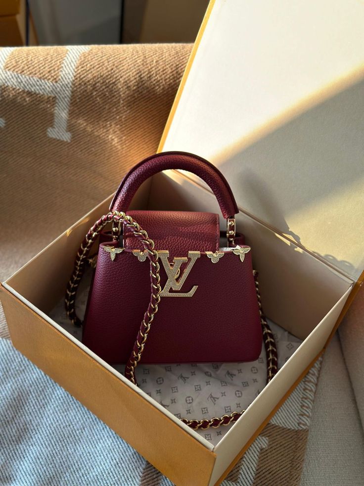 Louis Vuitton Capucines Bag