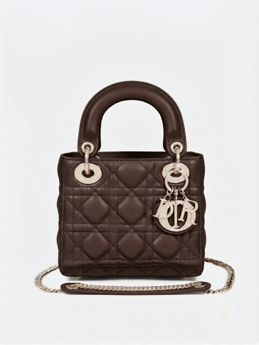 Mini Lady Dior Bag