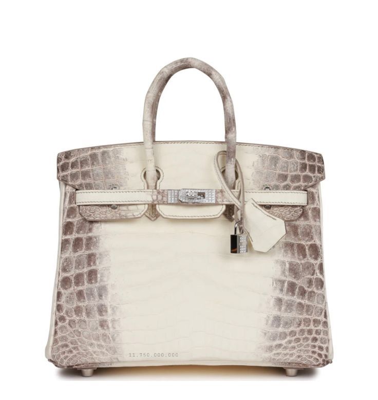 Hermès Himalayan Birkin Bag