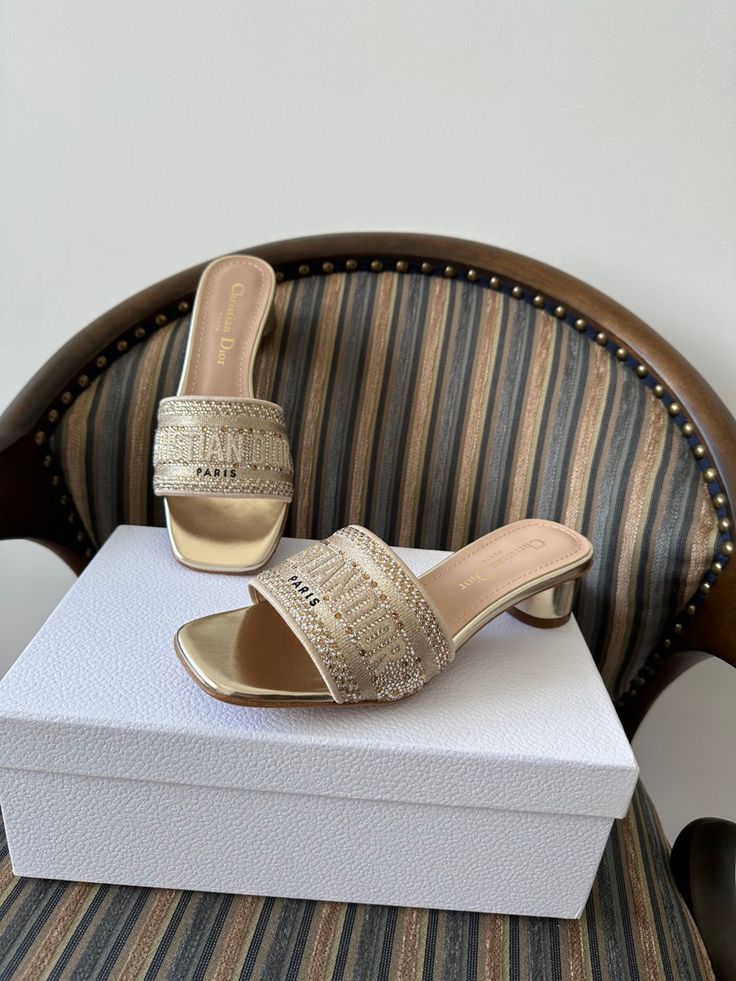 Christian Dior Dway Footwear Collection