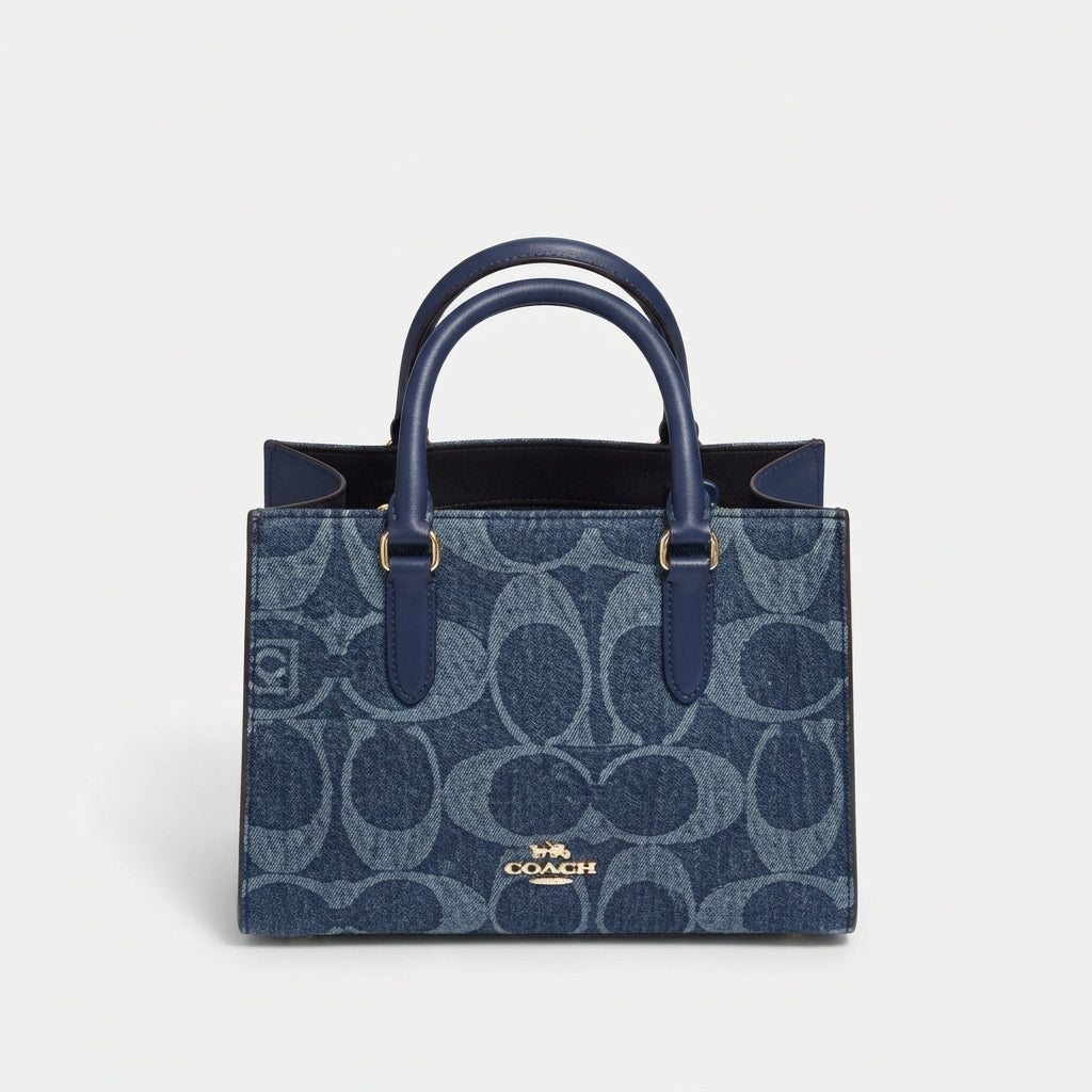 Coach Maggie Small Tote Bag In Ombré Signature Canvas