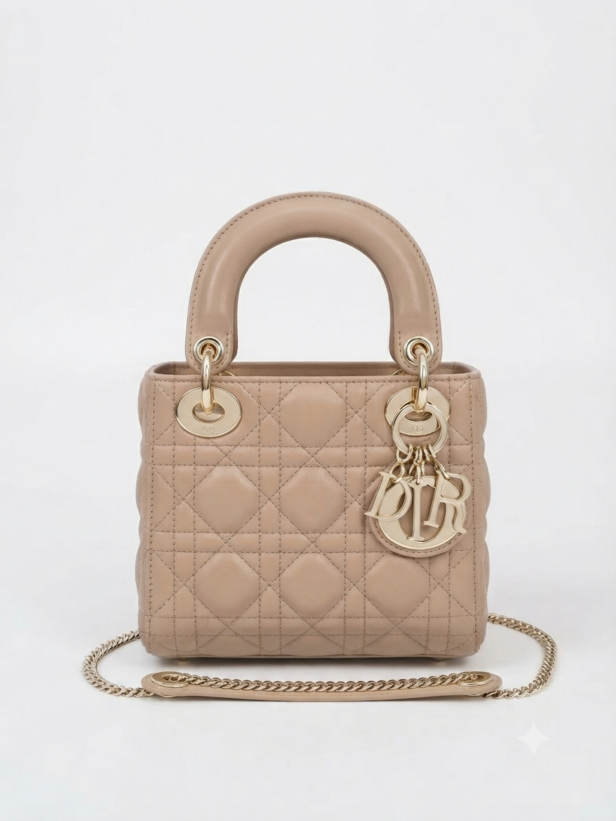 Mini Lady Dior Bag