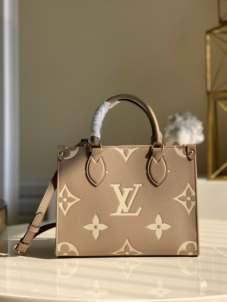 Louis Vuitton OnTheGo PM Bag