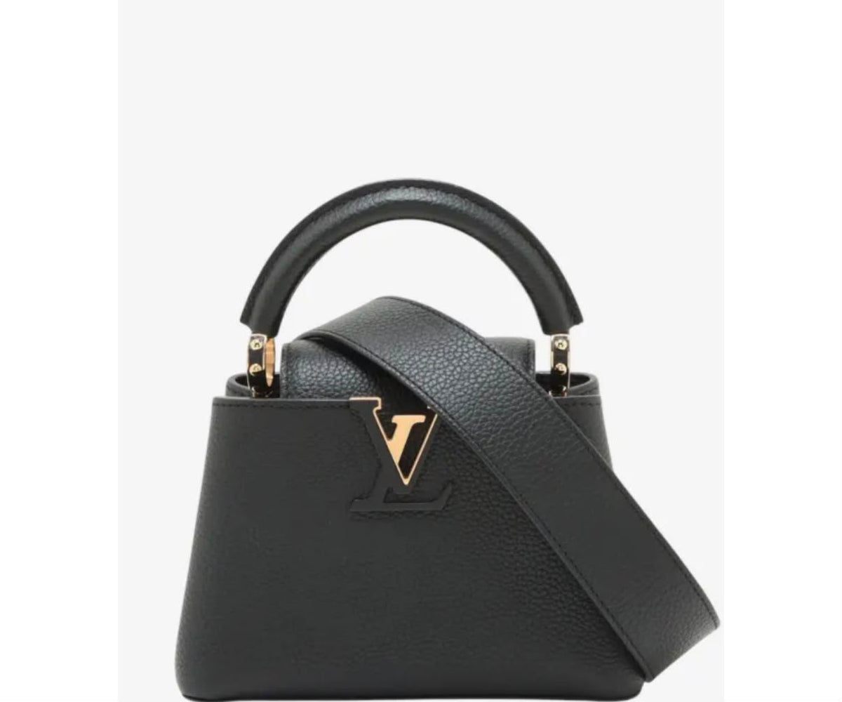Louis Vuitton Capucines Bag